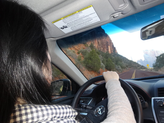 Road Tripを楽しむ